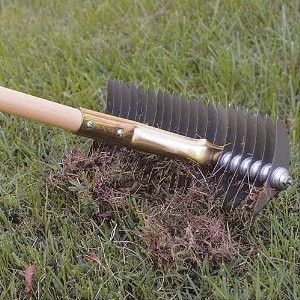 thatching-rake